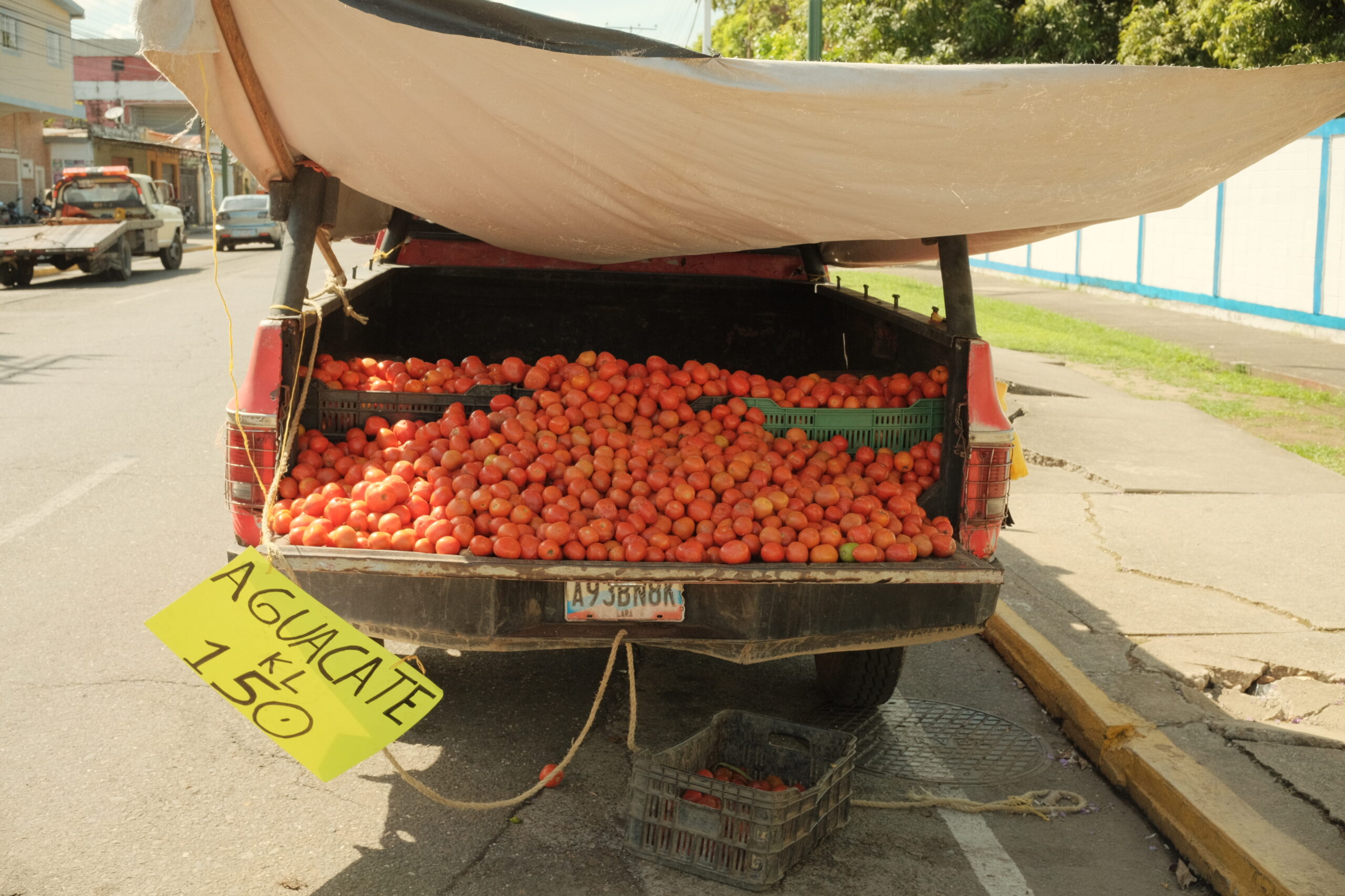 Aguacates